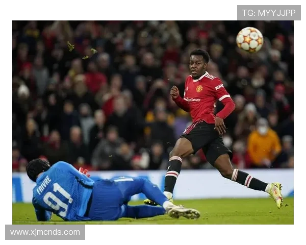 巴洛图雷迪亚洛首发费弗尔约科